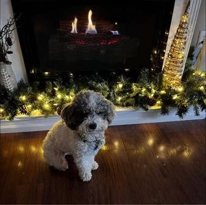 Meet your Posher, Jeanene